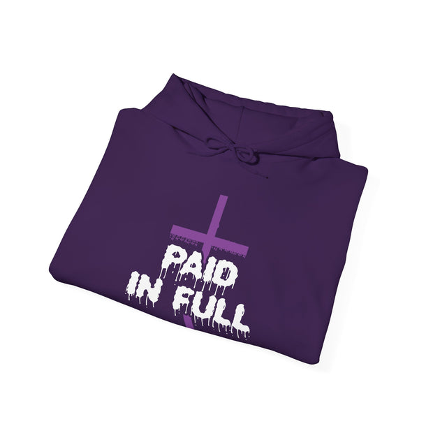 Copy of Paid In Full Hooded Sweatshirt